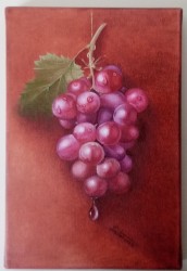 Chasselas rose
