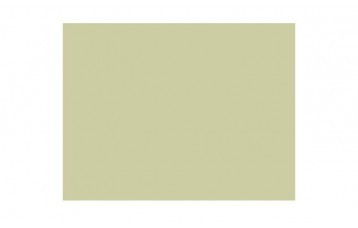 Passepartout-ul standard 2411 este din carton cu ph neutru, culoare verde pal. Este produs in Olanda de Moorman Karton.