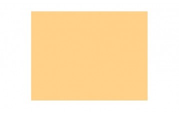 Passepartout-ul standard 2787 este din carton cu ph neutru, culoare galben. Este produs in Olanda de Moorman Karton.