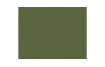 Passepartout-ul standard 2460  este din carton cu ph neutru, culoare verde. Este produs in Olanda de Moorman Karton.