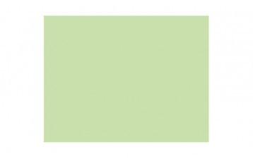 Passepartout-ul standard 2489 este din carton cu ph neutru, culoare verde. Este produs in Olanda de Moorman Karton.