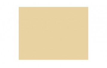 Passepartout-ul standard 2204 este din carton cu ph neutru culoarea bej. Este produs in Olanda de Moorman Karton.