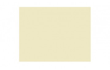 Passepartout-ul standard 2407 este din carton cu ph neutru, culoare crem. Este produs in Olanda de Moorman Karton.