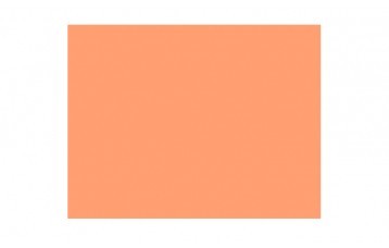 Passepartout-ul standard 2856 este din carton cu ph neutru, culoare portocaliu. Este produs in Olanda de Moorman Karton.