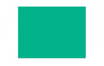 Passepartout-ul standard 2765 este din carton cu ph neutru, culoare verde. Este produs in Olanda de Moorman Karton.