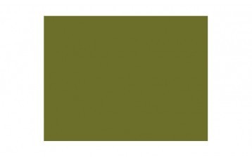 Passepartout-ul standard 2418  este din carton cu ph neutru, culoare verde. Este produs in Olanda de Moorman Karton.