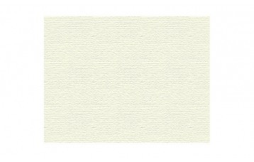 Passepartout-ul standard 2793 este din carton cu ph neutru, culoare verde pal. Este produs in Olanda de Moorman Karton.