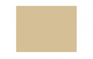 Passepartout-ul standard 2462 este din carton cu ph neutru, culoare bej închis Este produs in Olanda de Moorman Karton.