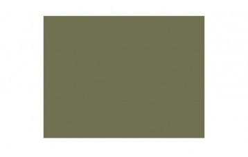 Passepartout-ul standard din gama Colourmount, 830 este din carton verde kaki. Este produs in Anglia de Slater Harrison Ltd., o companie cu peste 80 de ani de experienta