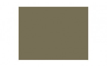 Passepartout-ul standard 2486 este din carton cu ph neutru, culoare kaki deschis- texturat. Este produs in Olanda de Moorman Karton.