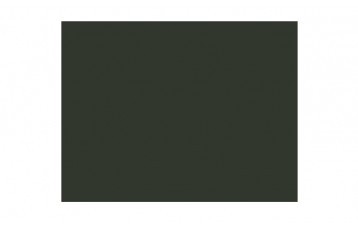 Passepartout-ul din catifea 190 este verde. Este produs in Olanda de Moorman Karton. Se recomanda pentru lucrari mai pretioase, fotografii vechi, timbre, dar si pentru inramari moderne.