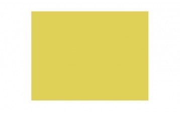 Passepartout-ul standard 2763 este din carton cu ph neutru, culoare galben muștar-usor texturat. Este produs in Olanda de Moorman Karton.