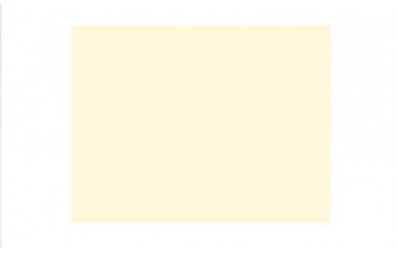 Passepartout-ul standard 206 este din carton alb-crem.