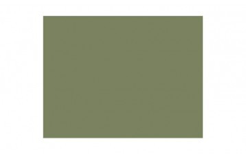 Passepartout-ul standard din gama Colourmount, 834 este din carton verde. Este produs in Anglia de Slater Harrison Ltd., o companie cu peste 80 de ani de experienta.