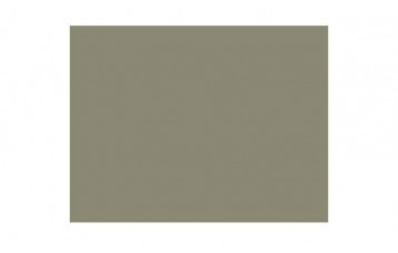 Passepartout-ul standard 2455 este din carton cu ph neutru ,culoare grej. Este produs in Olanda de Moorman Karton.