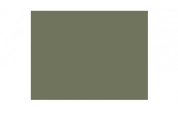 Passepartout-ul 134 este din catifea culoarea vernil. Este produs in Olanda de Moorman Karton.