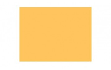 Passepartout-ul standard 2731 este din carton cu ph neutru, culoare galben muștar. Este produs in Olanda de Moorman Karton.