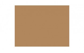 Passepartout-ul standard 2819 este din carton cu ph neutru, ocru. Este produs in Olanda de Moorman Karton.