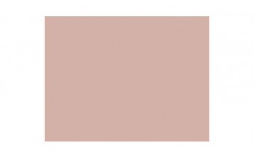 Passepartout-ul standard 2780 este din carton cu ph neutru, culoare roz pudrat. Este produs in Olanda de Moorman Karton.